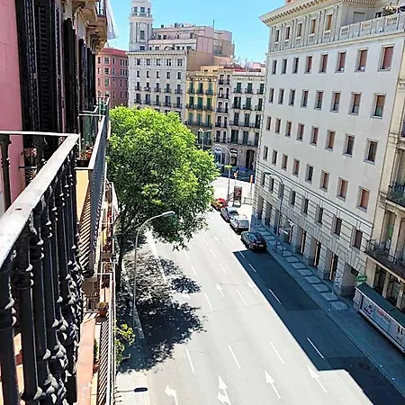 Super Balmes